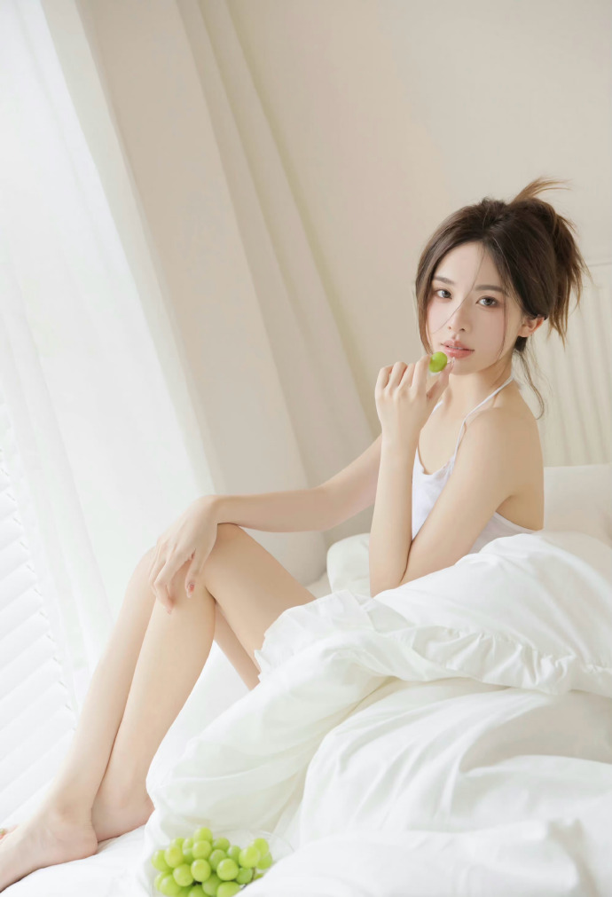 绿皮书